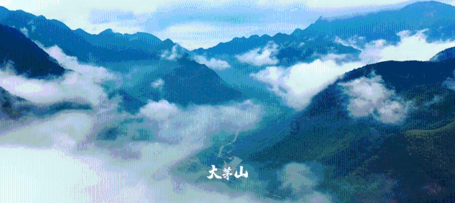 超奥特曼格斗